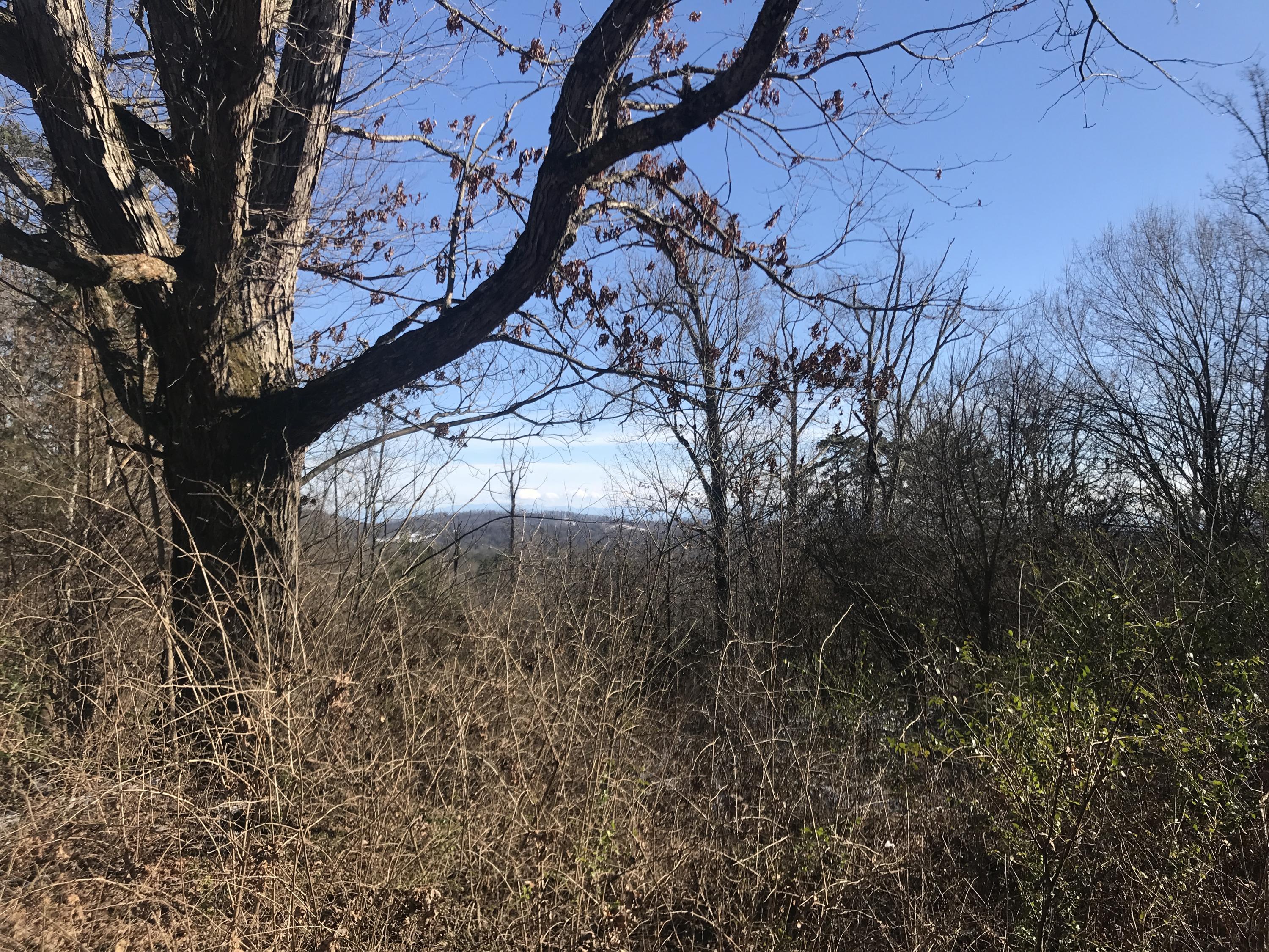 0 Ridgeview Road Knoxville, TN 37918 - Photo 11 of 13 4