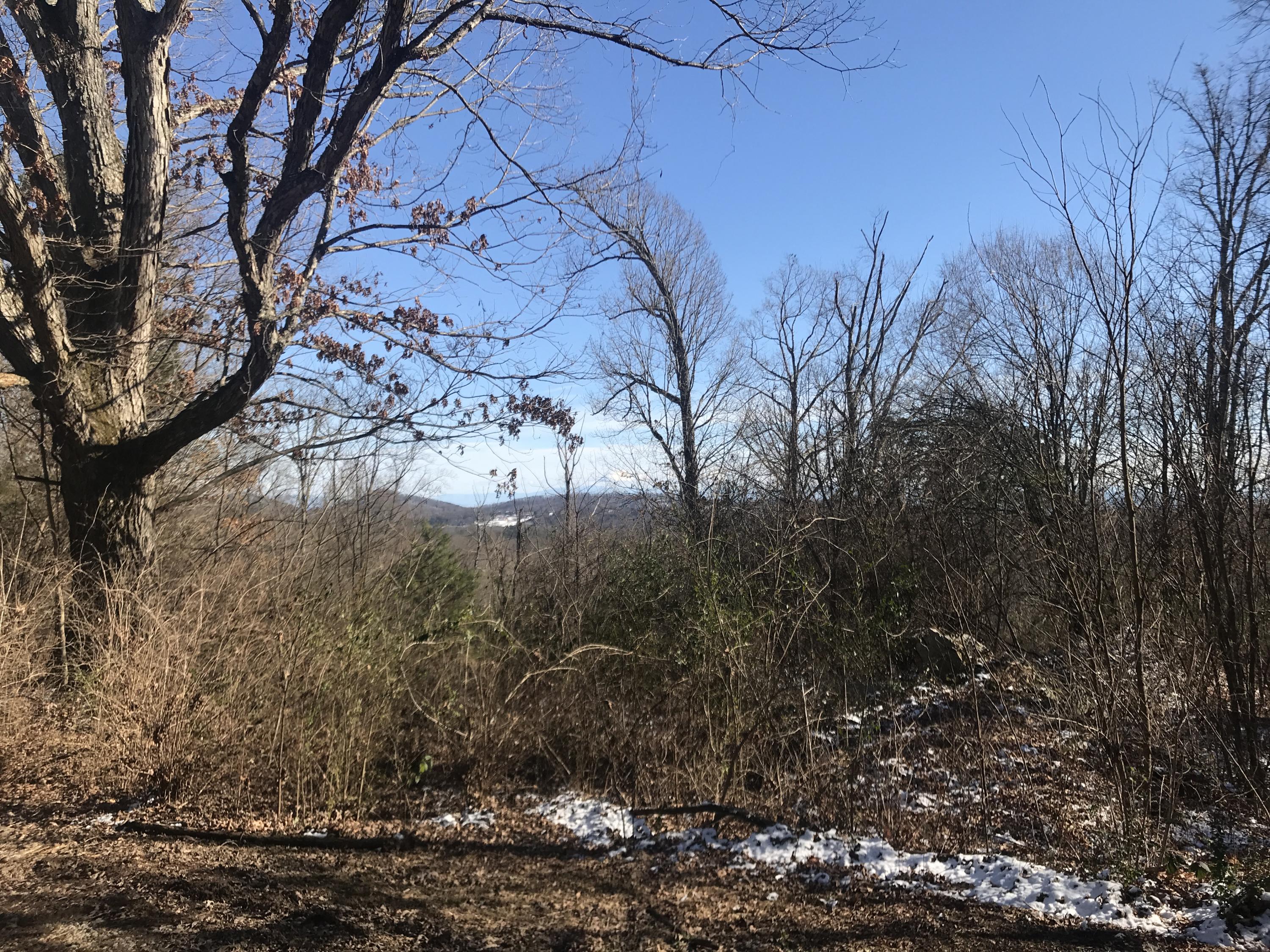 0 Ridgeview Road Knoxville, TN 37918 - Photo 12 of 13 5