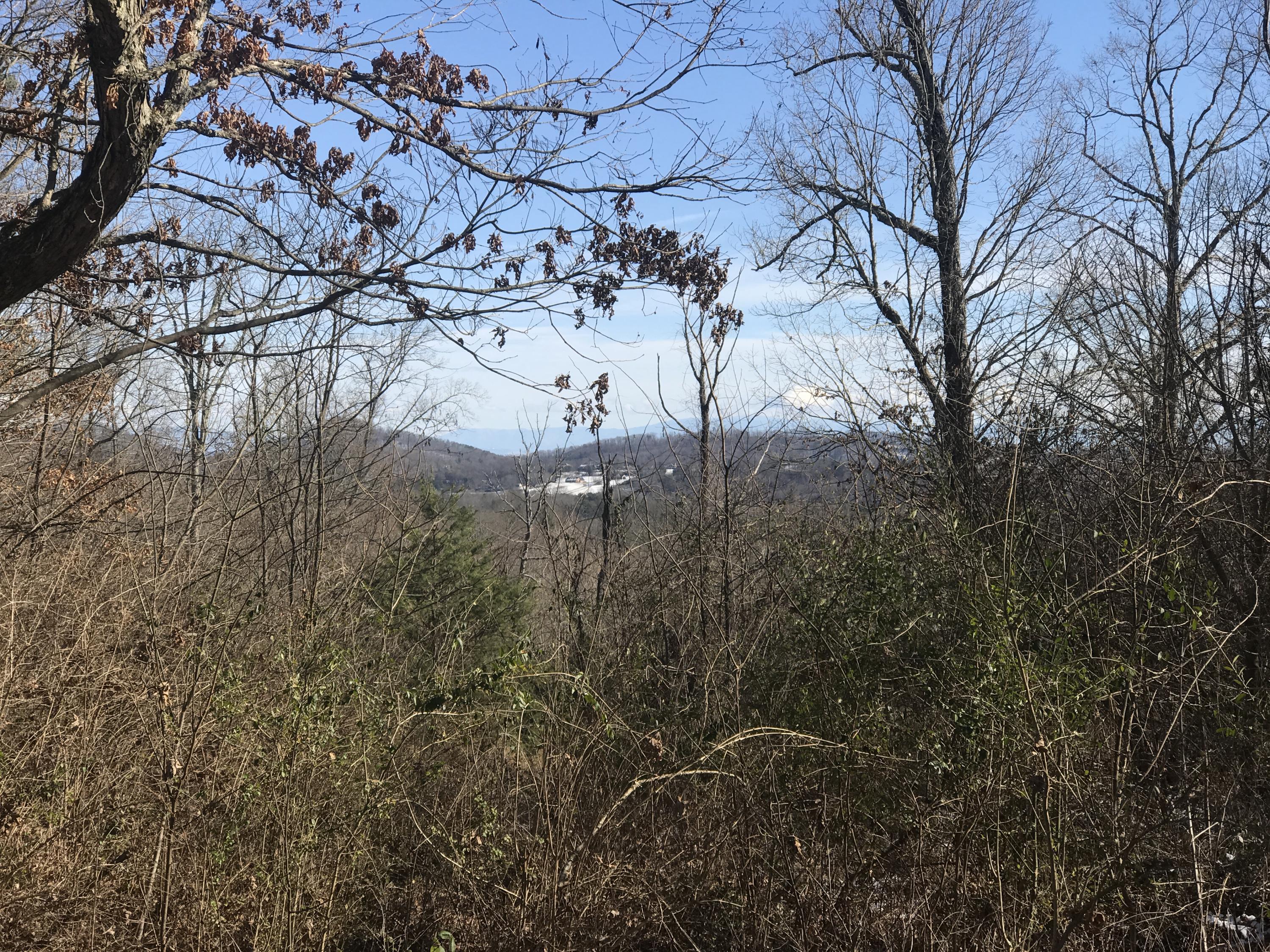 0 Ridgeview Road Knoxville, TN 37918 - Photo 13 of 13 6