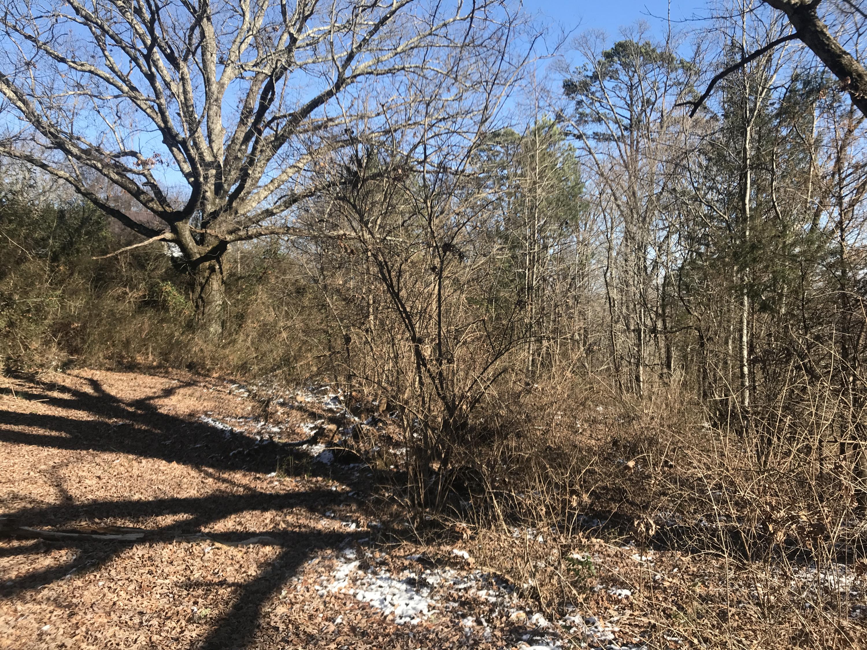 0 Ridgeview Road Knoxville, TN 37918 - Photo 8 of 13 1