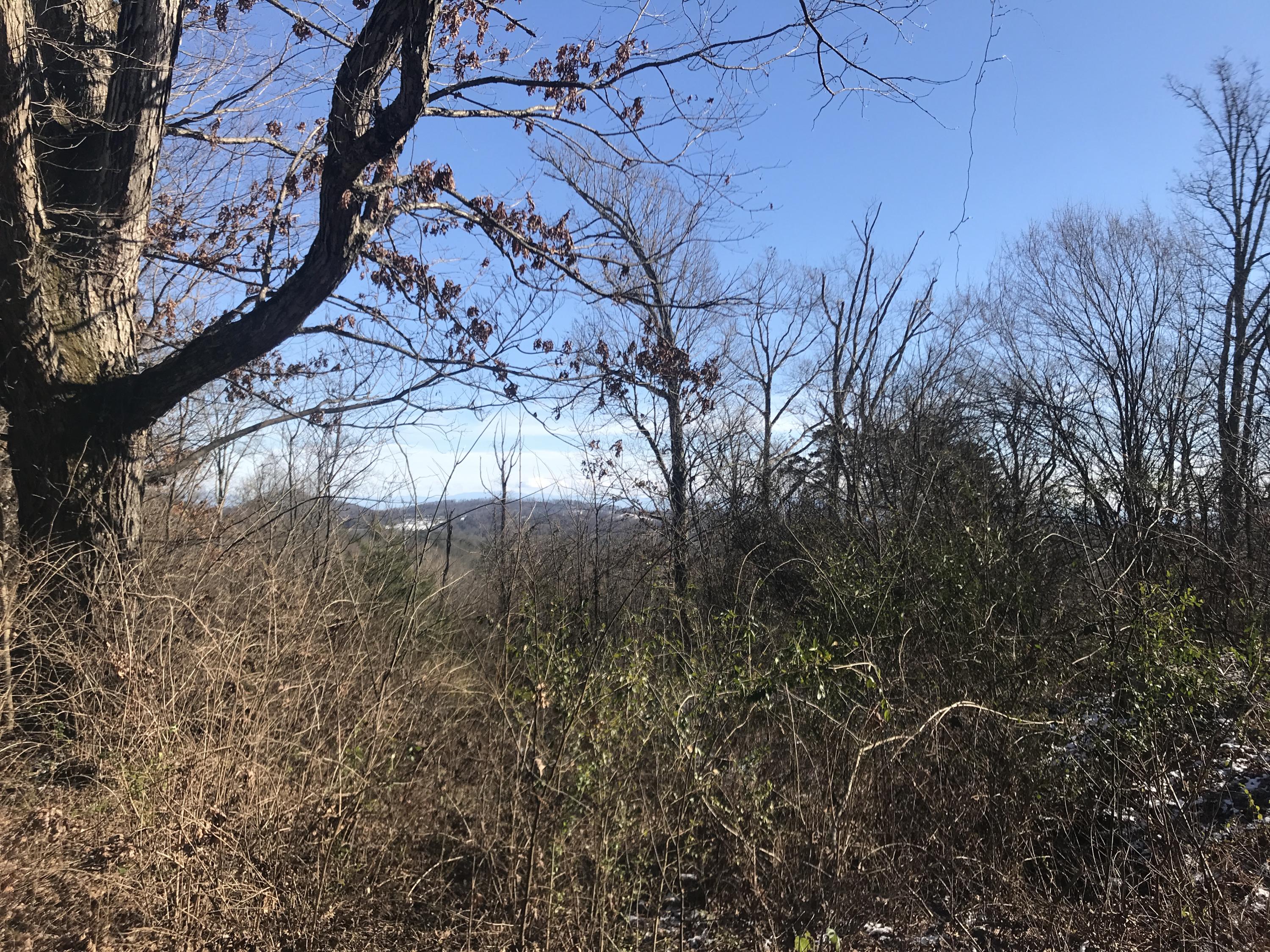 0 Ridgeview Road Knoxville, TN 37918 - Photo 9 of 13 2