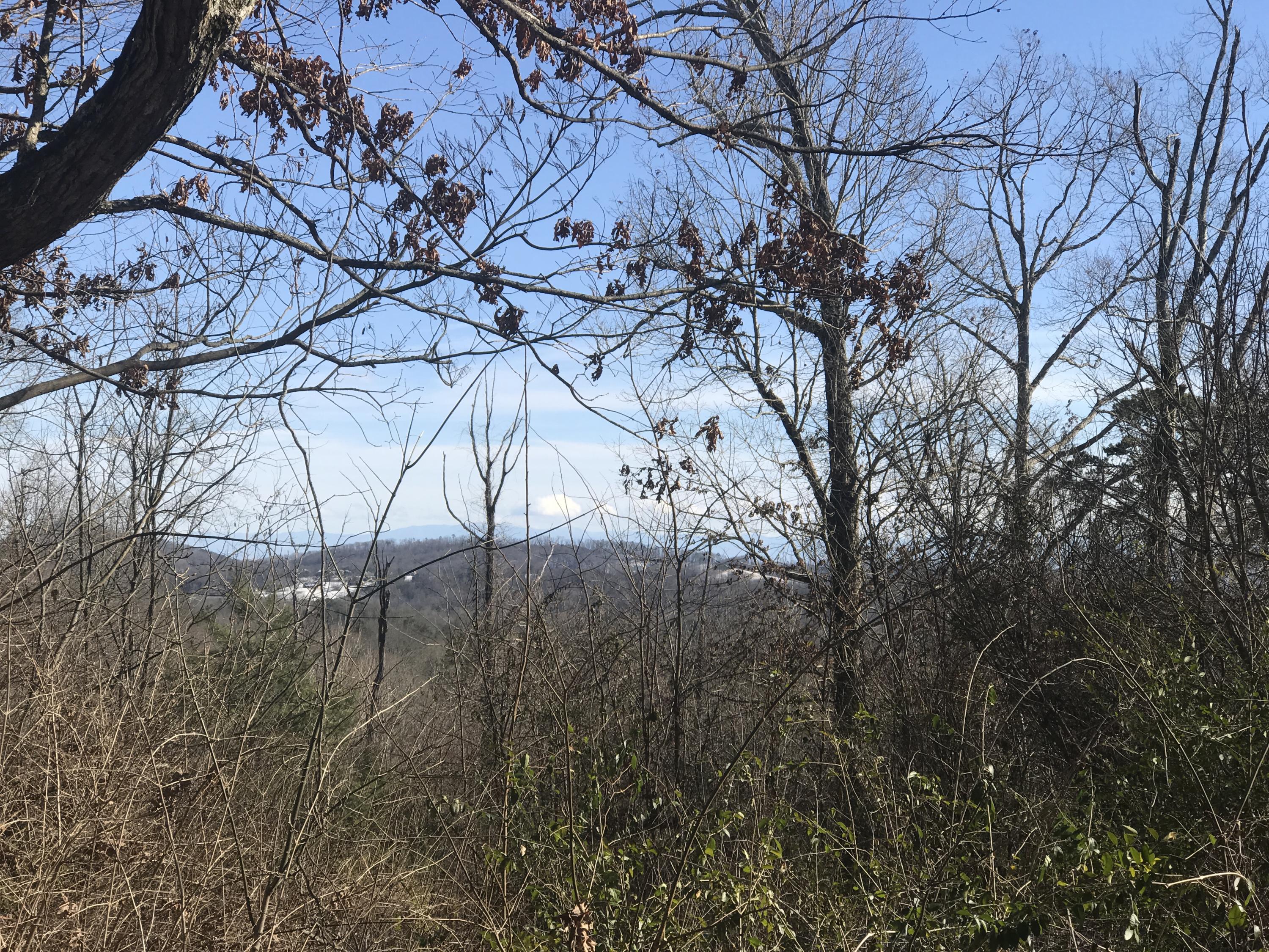 0 Ridgeview Road Knoxville, TN 37918 - Photo 10 of 13 3