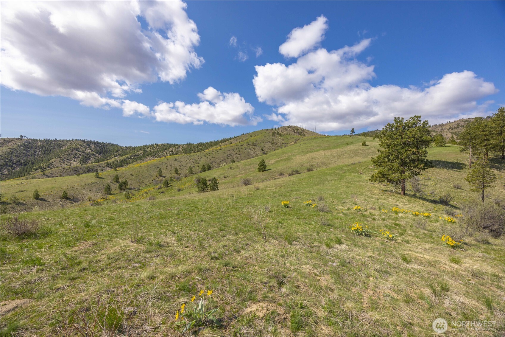 1 Bear Mountain Road Chelan, WA 98816 - Photo 11 of 40