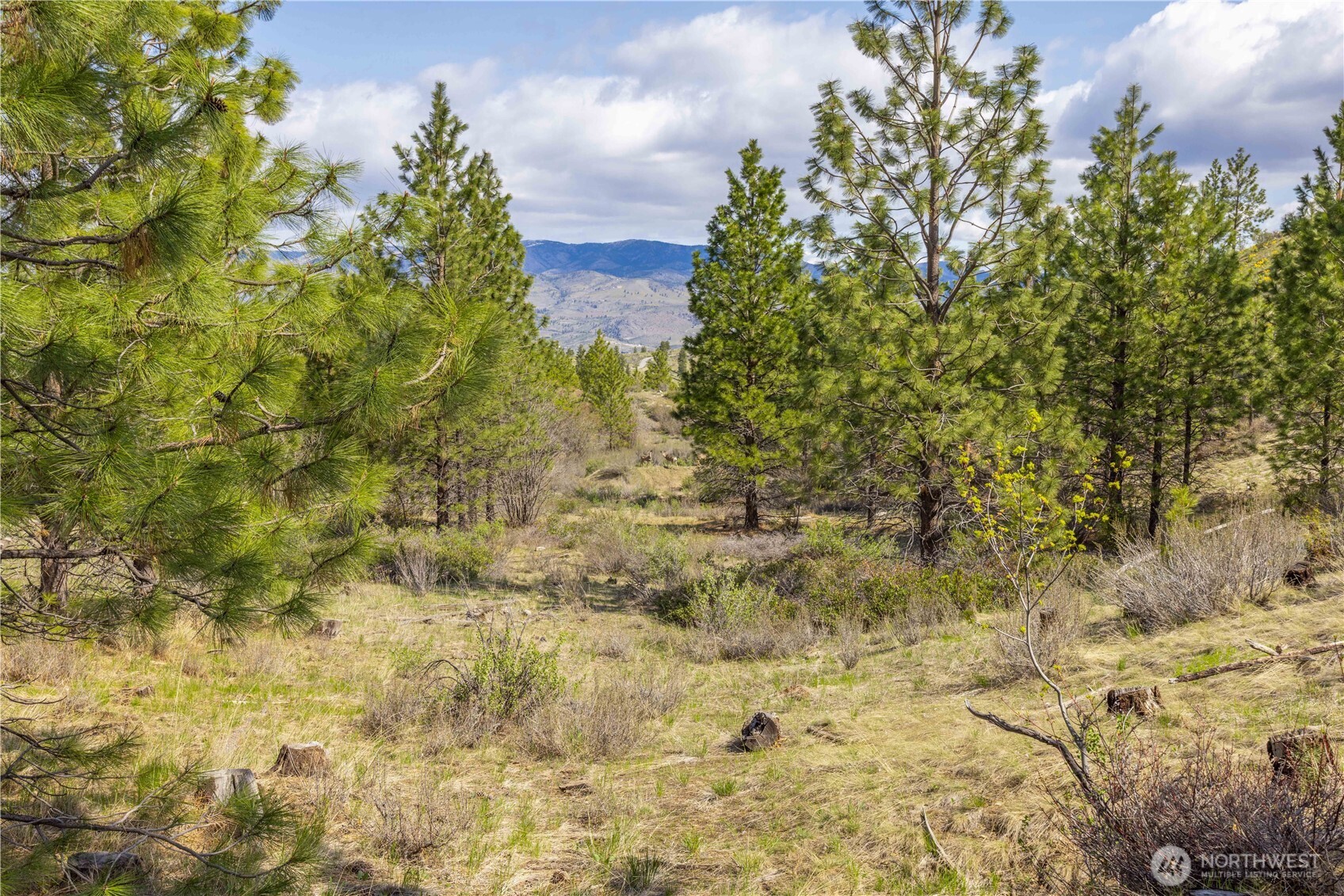 1 Bear Mountain Road Chelan, WA 98816 - Photo 12 of 40