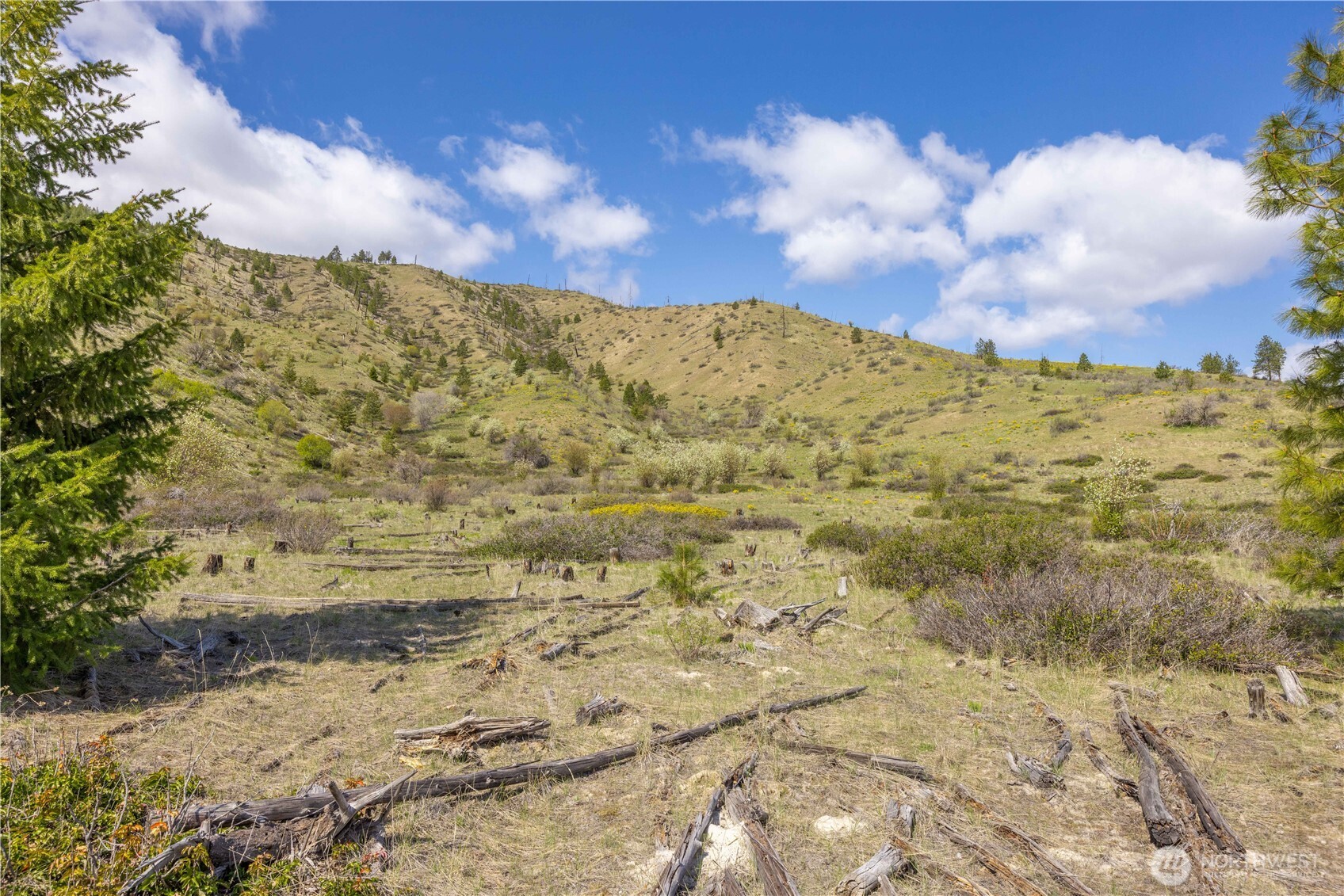 1 Bear Mountain Road Chelan, WA 98816 - Photo 13 of 40