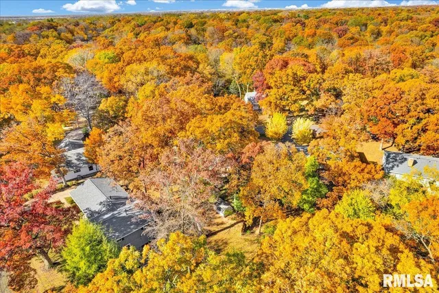 $249,900 | 10422 North North Forest Trail, Peoria, IL 61615