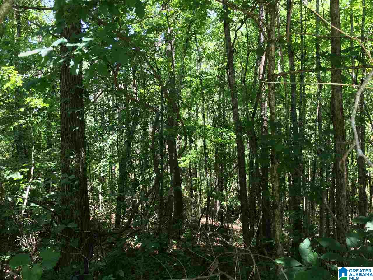 3901 Dean Road, Unit 5 ACRES Pinson, AL 35126 - Photo 18 of 25