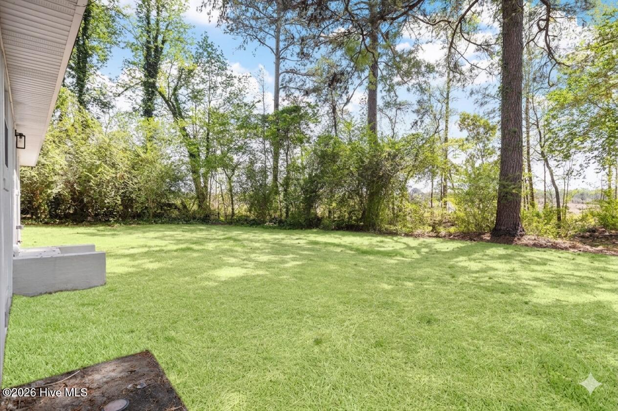 7222 Thorne Farm Road Elm City, NC 27822 - Photo 19 of 19 7222 Thorne Farm back2