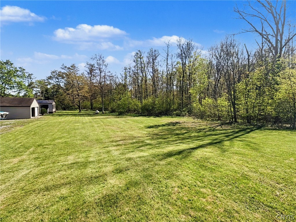 2254 Hanshaw Road Dryden, NY 13068 - Photo 6 of 47 Back Yard