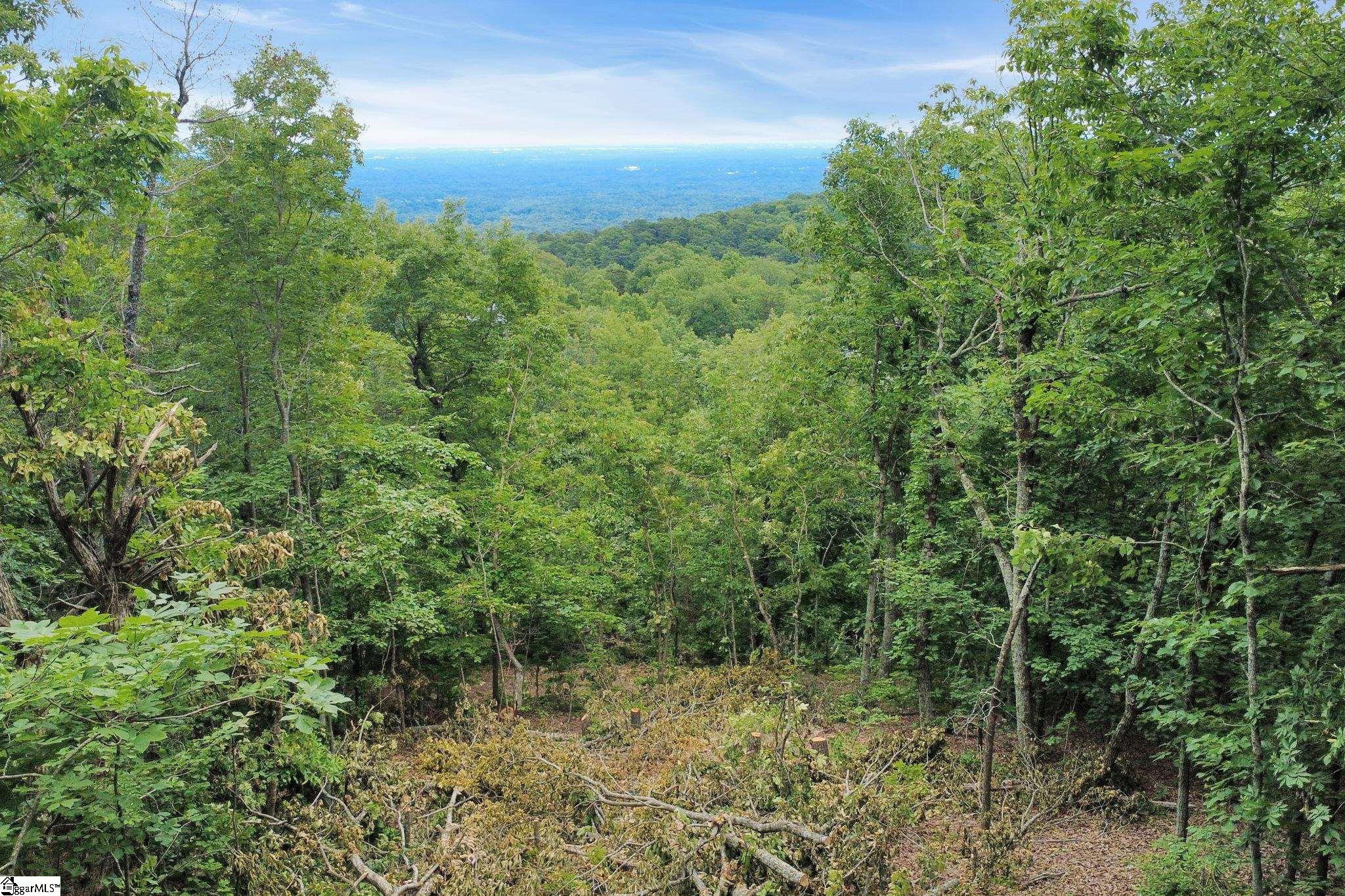 1325 Altamont Road Greenville, SC 29609 - Photo 2 of 5