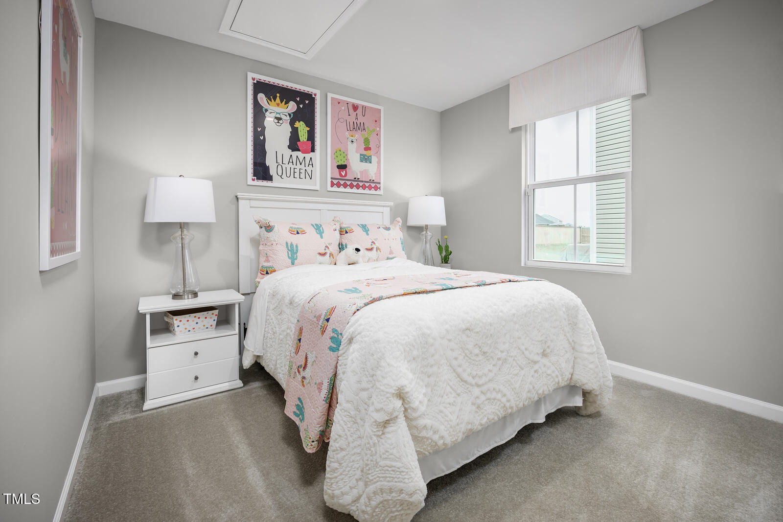4037 Moth Trail Bailey, NC 27807 - Photo 12 of 16 12 bedroom