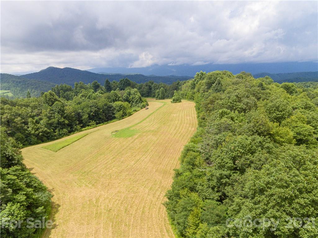 514 Crabtree Road Spruce Pine, NC 28777 - Photo 41 of 42 Gallery Image 41