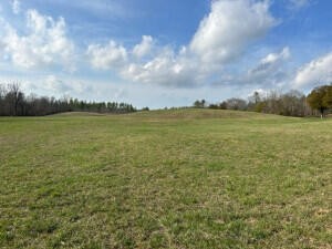 21 Athens Road Calhoun, TN 37309 - Photo 20 of 30 Gallery Image 20