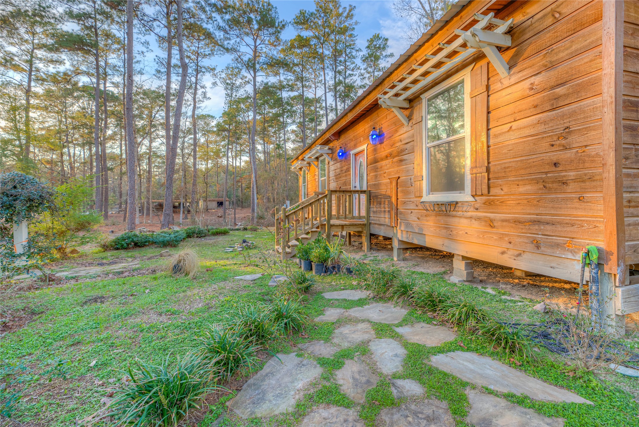 228 1 Such Road Livingston, TX 77351 - Photo 4 of 35 a backyard of a house with lots of green space