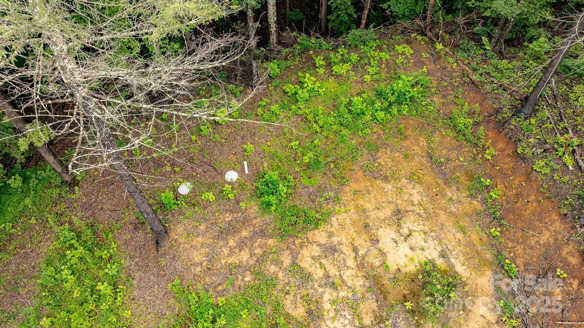 8331 Sugar Hill Road Marion, NC 28752 - Photo 20 of 36 a backyard of a house with lots of green space and chair