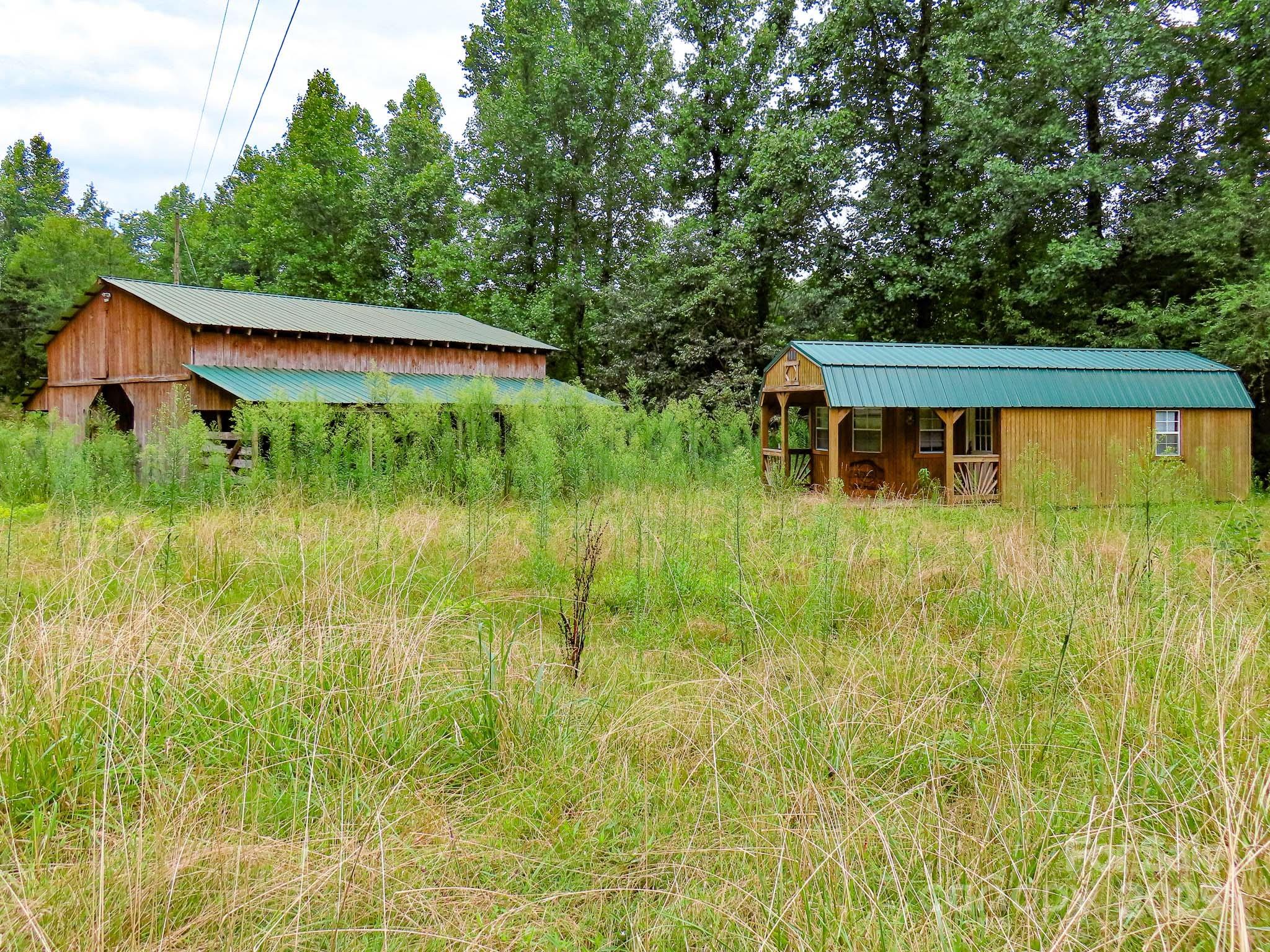 8331 Sugar Hill Road Marion, NC 28752 - Photo 22 of 36 a backyard of a house with plants and large trees