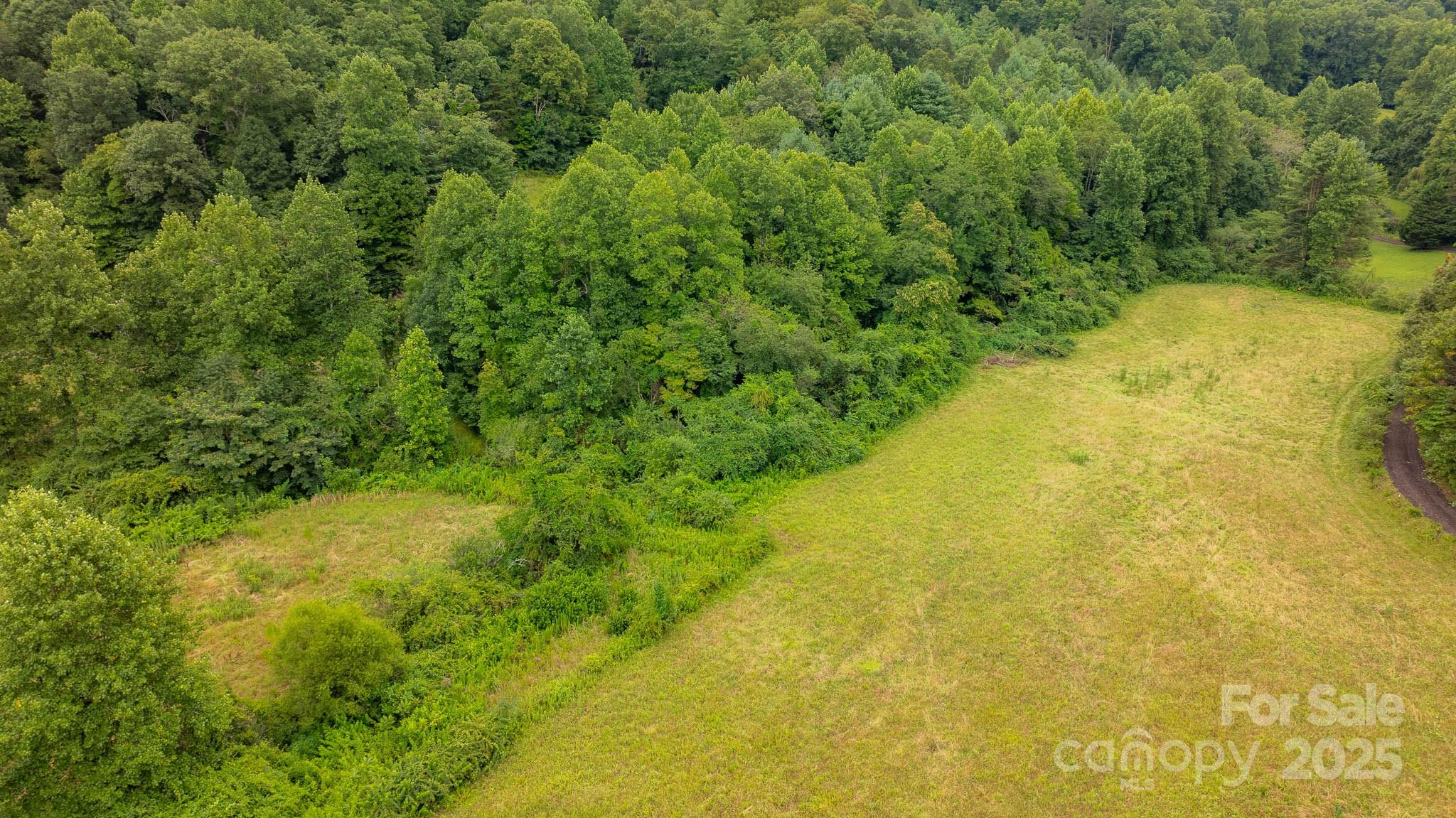 8331 Sugar Hill Road Marion, NC 28752 - Photo 33 of 36 a view of a large yard with a large tree