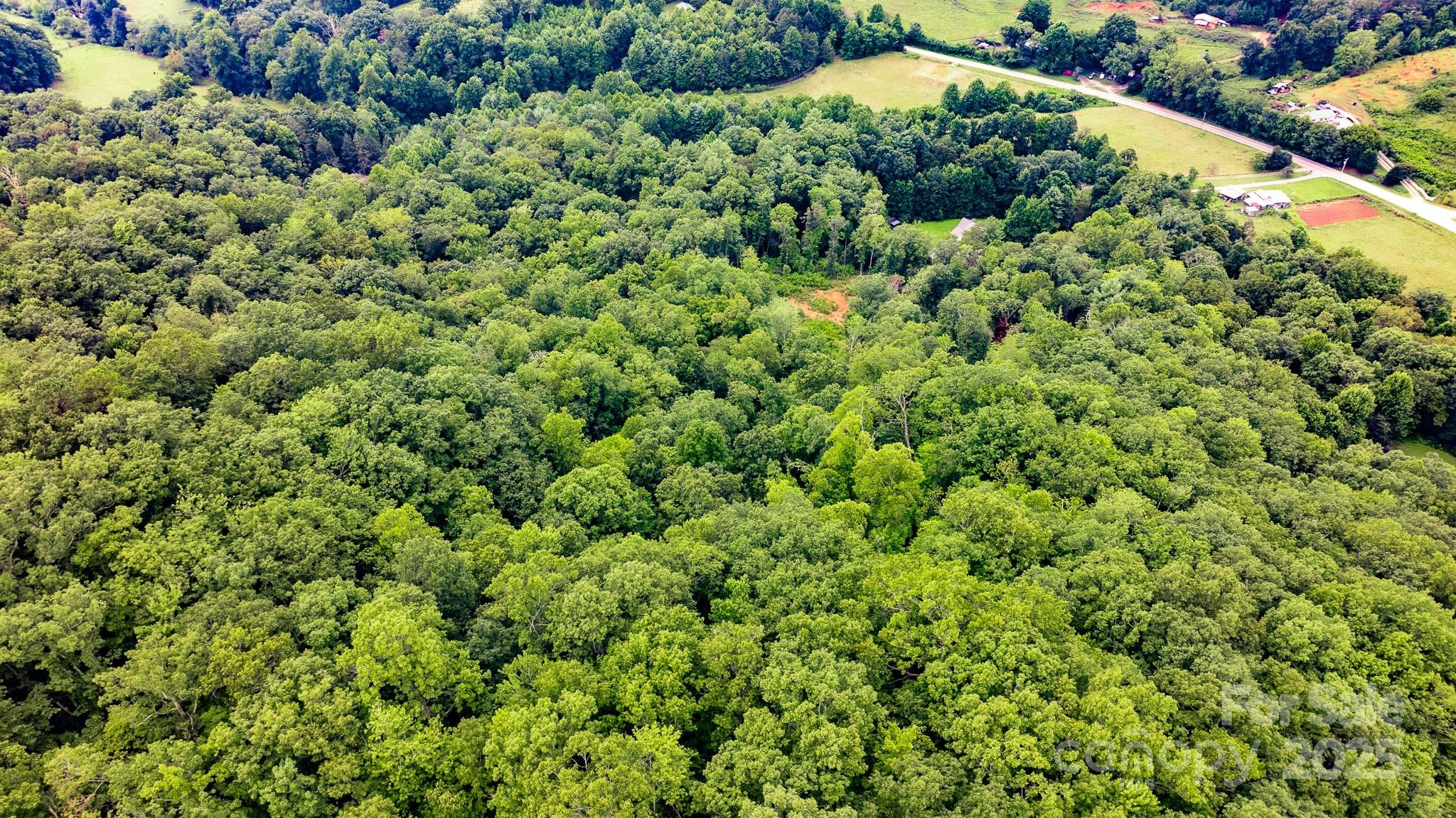 8331 Sugar Hill Road Marion, NC 28752 - Photo 34 of 36 a view of a garden with a plant