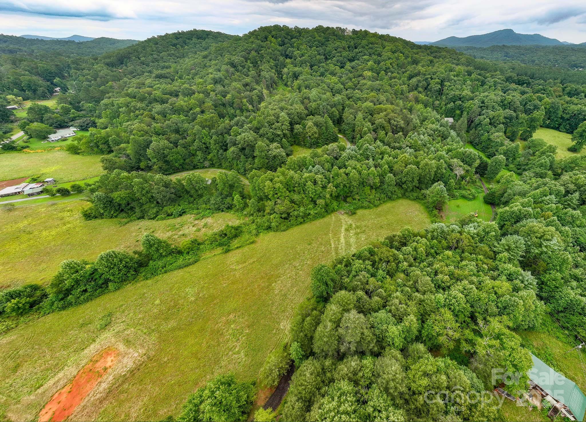 8331 Sugar Hill Road Marion, NC 28752 - Photo 36 of 36 a view of a lush green forest with a houses