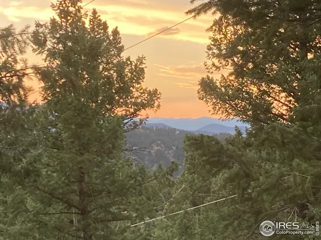 a view of a dry yard