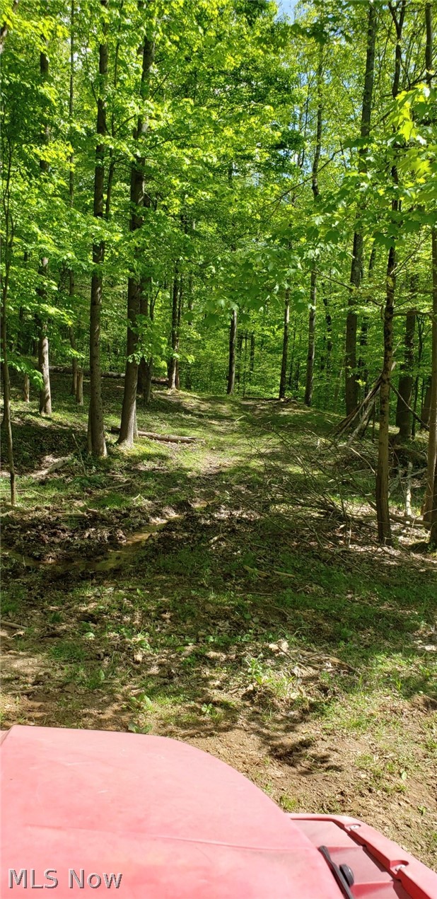 57490 Sycamore Road Quaker City, OH 43773 - Photo 15 of 23
