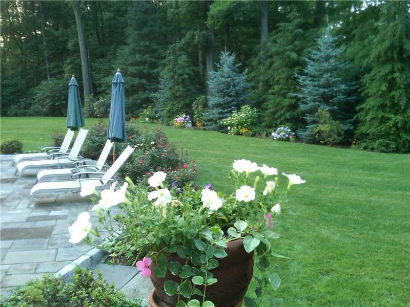 22 Maplewood Drive Darien, CT 06820 - Photo 20 of 25 a view of yard with seating space