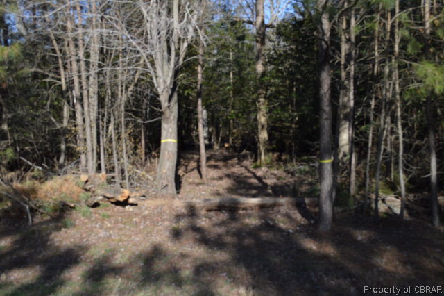 0 Timberline Drive Reedville, VA 22539 - Photo 7 of 9