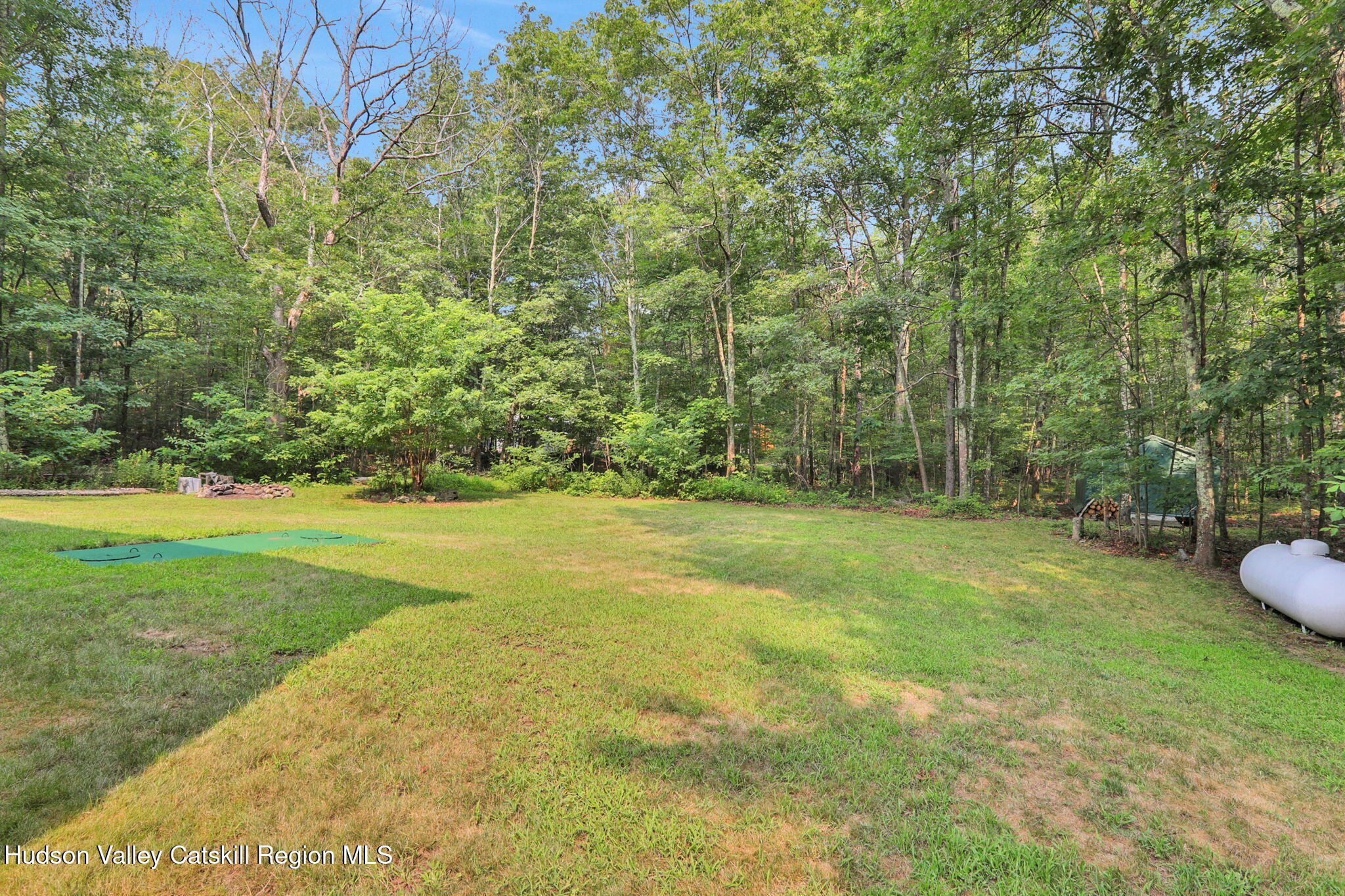 10 Lairds Court Purling, NY 12470 - Photo 25 of 25 a view of a yard with a trees