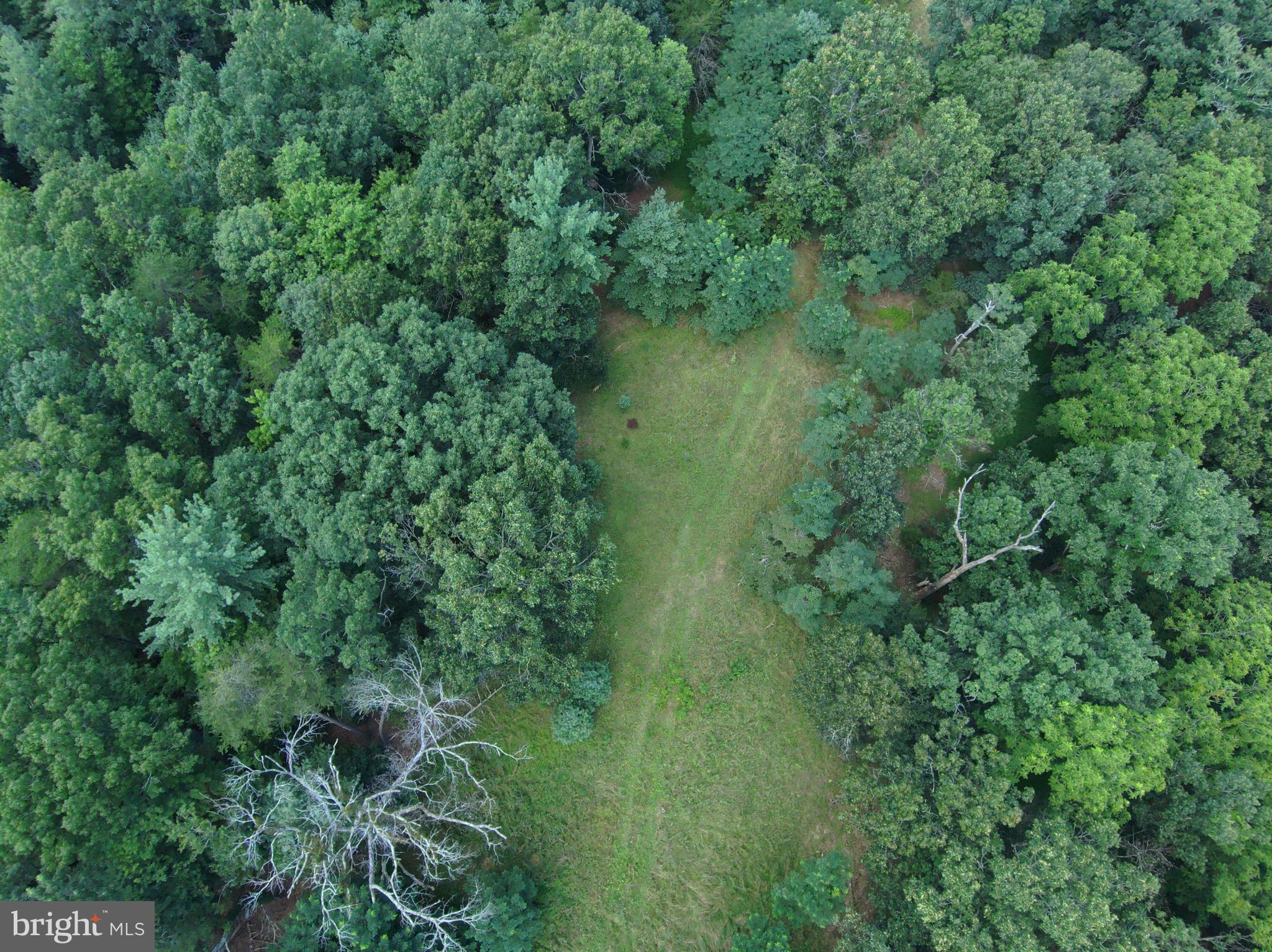 276 Cullers Run Road Mathias, WV 26812 - Photo 5 of 15 a view of a green field