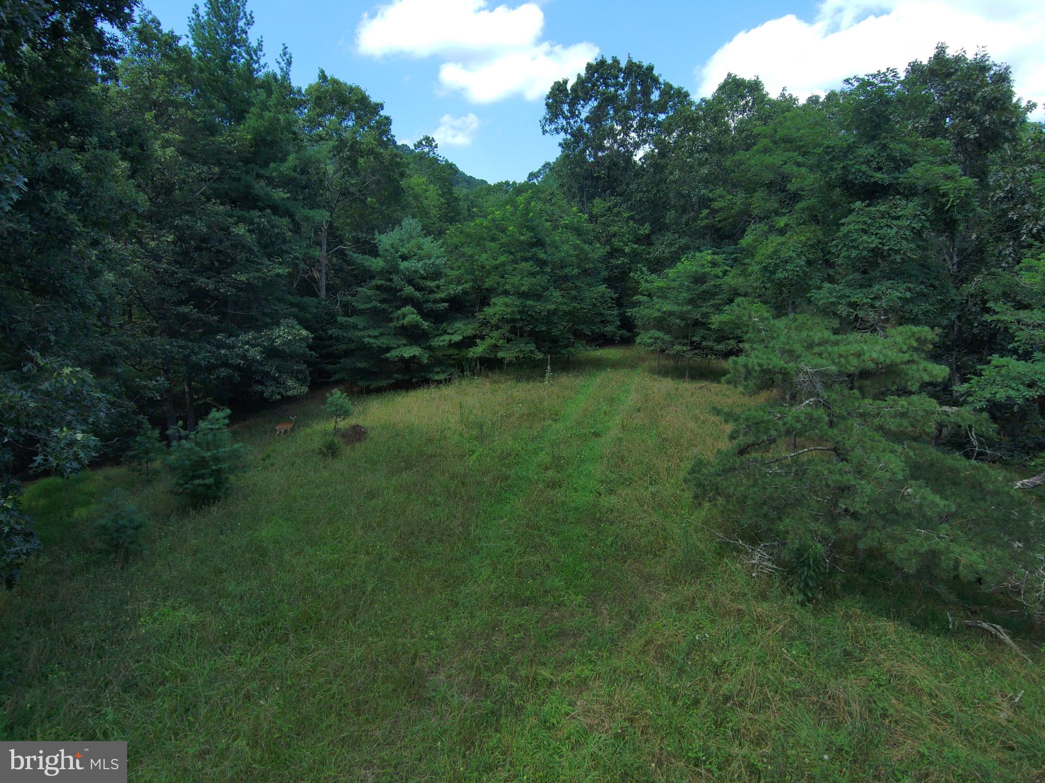 276 Cullers Run Road Mathias, WV 26812 - Photo 6 of 15