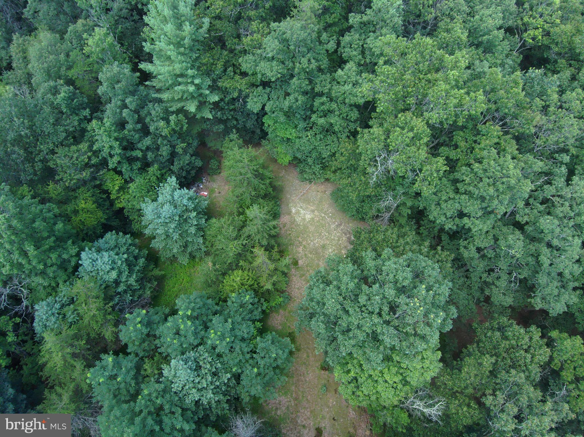 276 Cullers Run Road Mathias, WV 26812 - Photo 7 of 15 an aerial view of residential house with outdoor space and trees all around