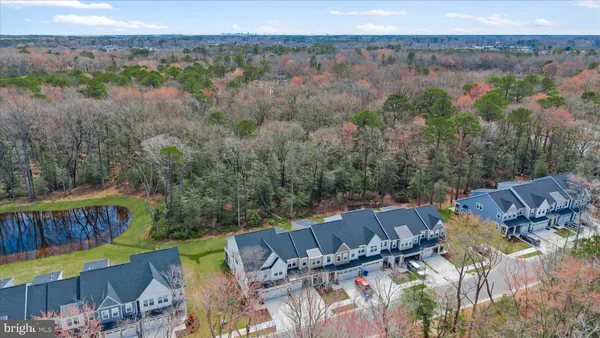 a view of a yard with plants