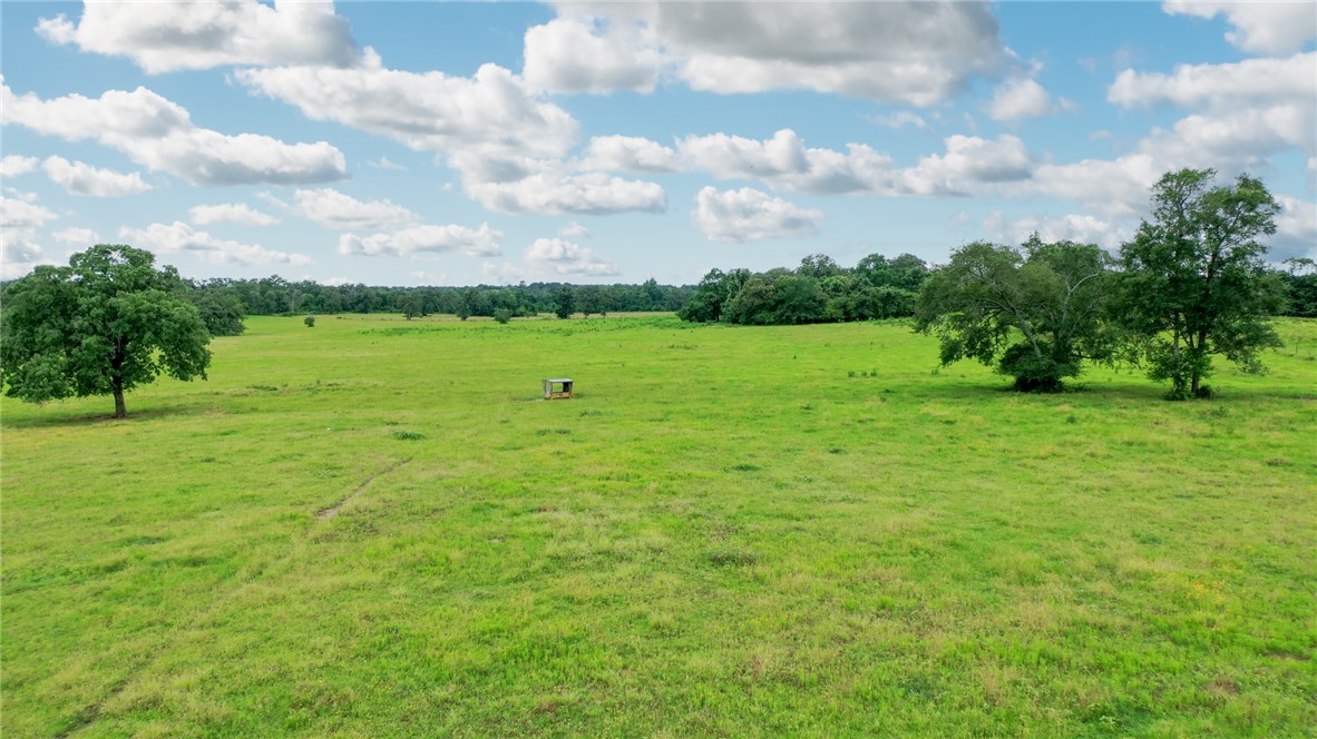 Tbd Pleasant Grove Road Iola, TX 77861 - Photo 14 of 18 a view of an ocean from a yard