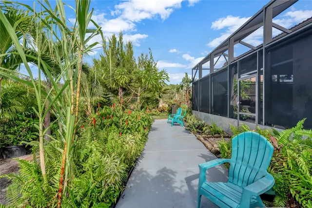 a view of a backyard with potted plants