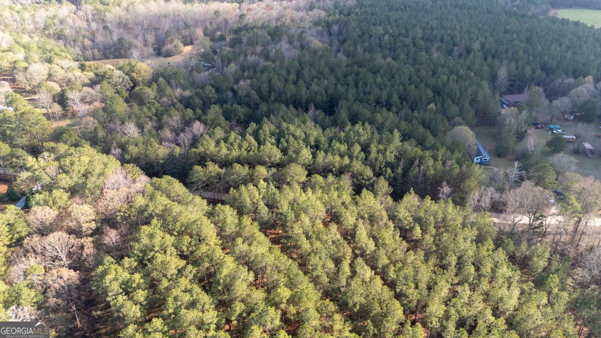 181 Lower Wirebridge Road Stephens, GA 30667 - Photo 26 of 35