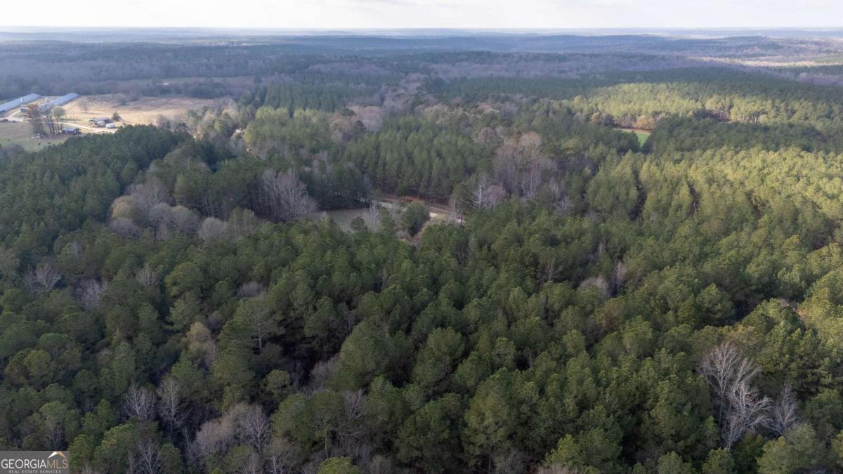 181 Lower Wirebridge Road Stephens, GA 30667 - Photo 30 of 35