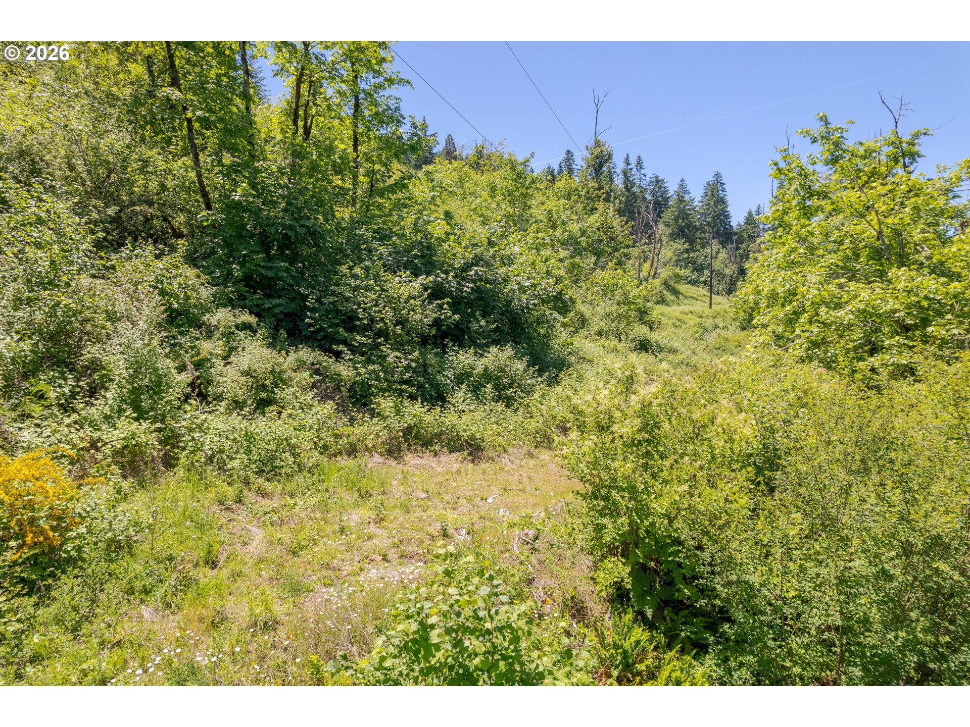 8563 McKenzie Highway Springfield, OR 97478 - Photo 32 of 35