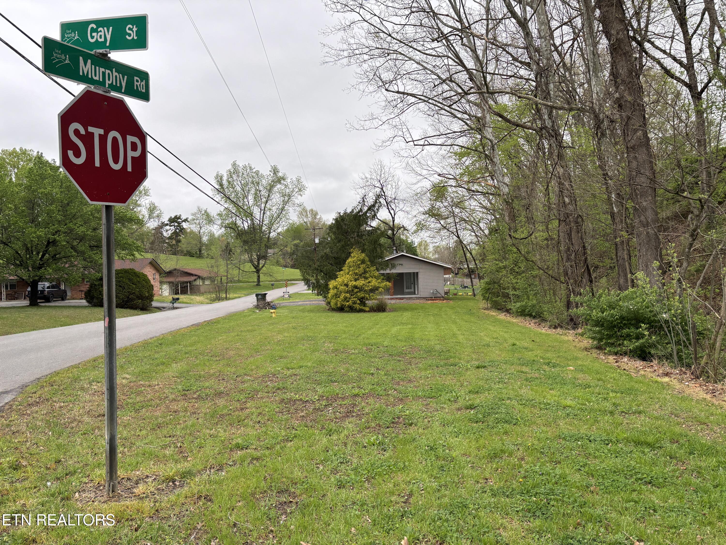 1004 Murphy Road Sevierville, TN 37862 - Photo 26 of 27 IMG_3824 2
