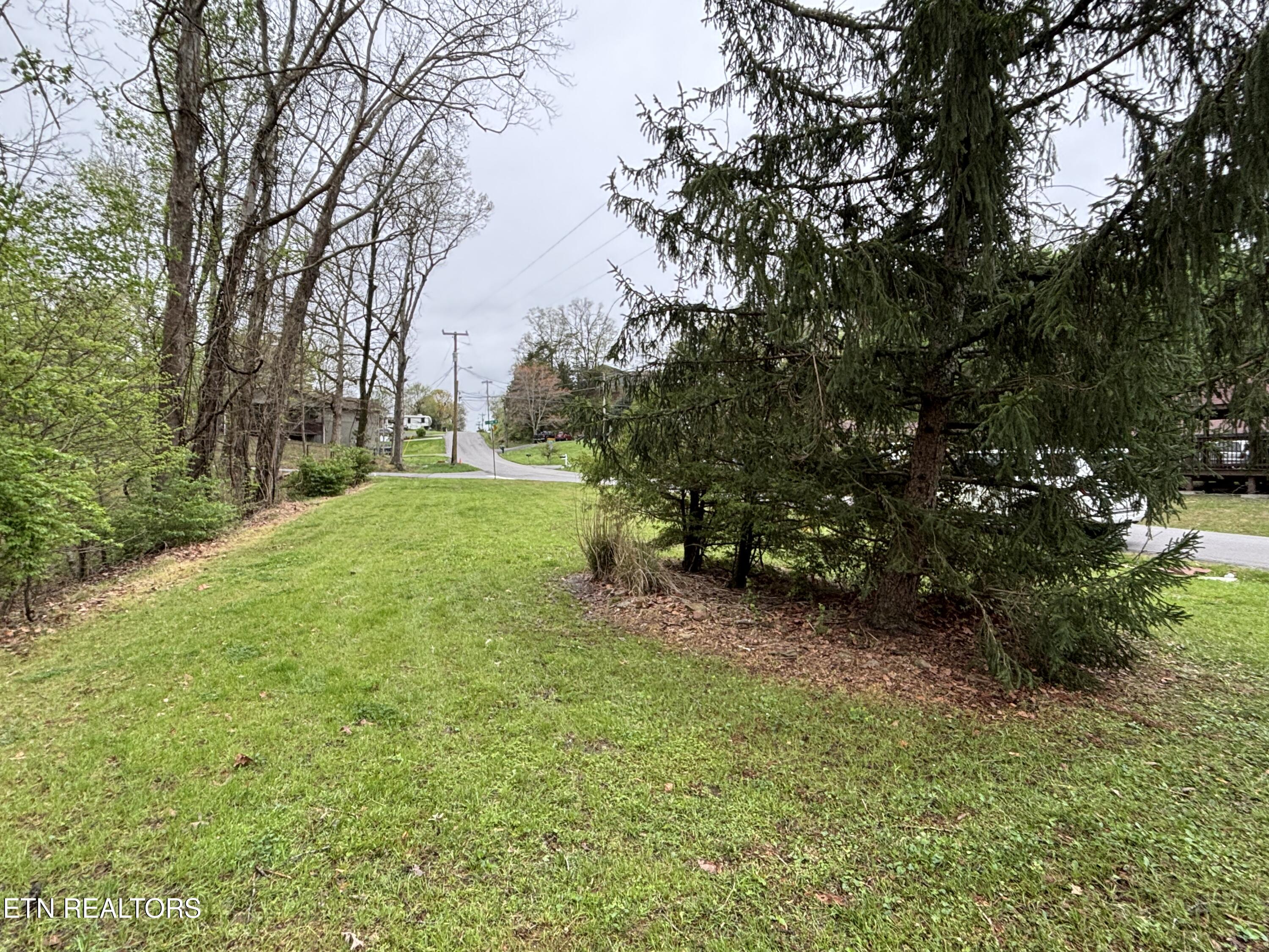 1004 Murphy Road Sevierville, TN 37862 - Photo 5 of 27 IMG_3779