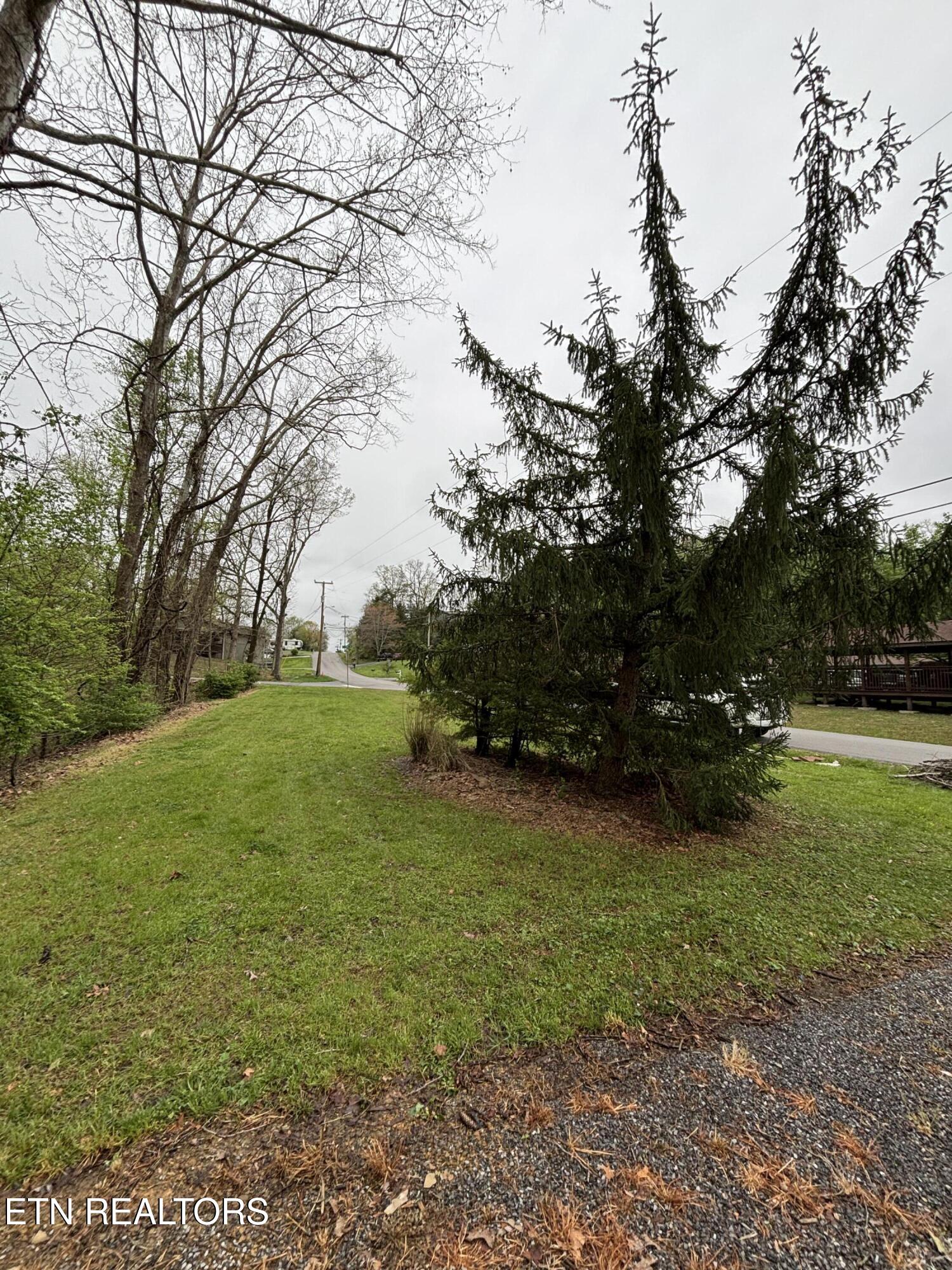 1004 Murphy Road Sevierville, TN 37862 - Photo 6 of 27 IMG_3781 2