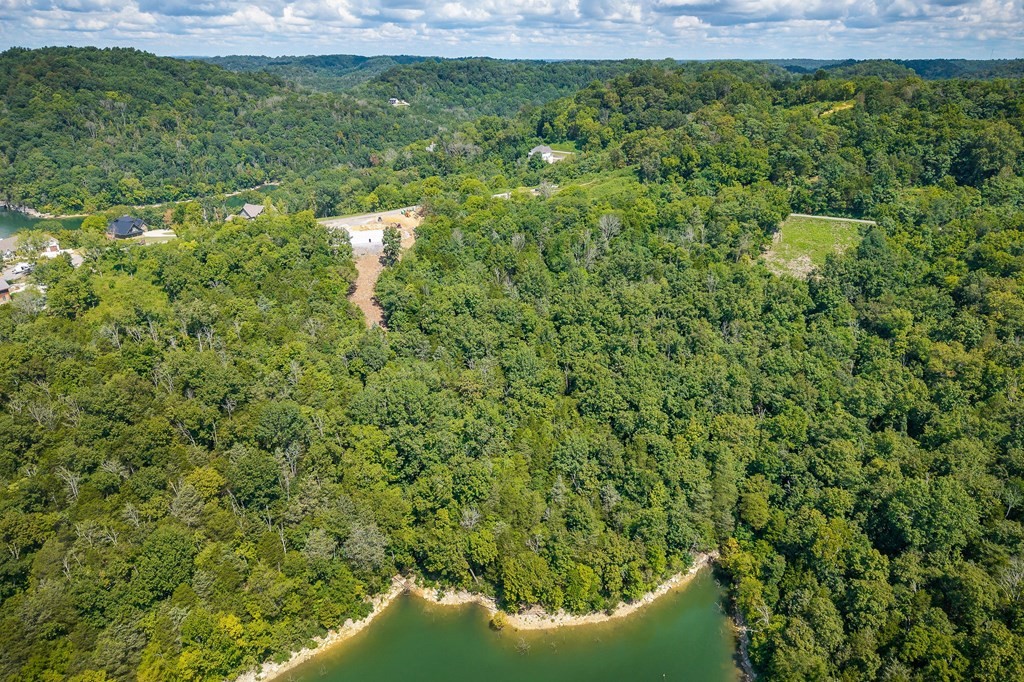 0 Harbor Pointe Drive Silver Point, TN 38582 - Photo 11 of 16 a view of a forest with a lake