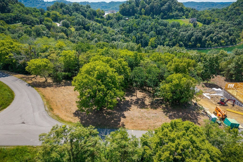 0 Harbor Pointe Drive Silver Point, TN 38582 - Photo 14 of 16 an aerial view of residential house with outdoor space and trees all around
