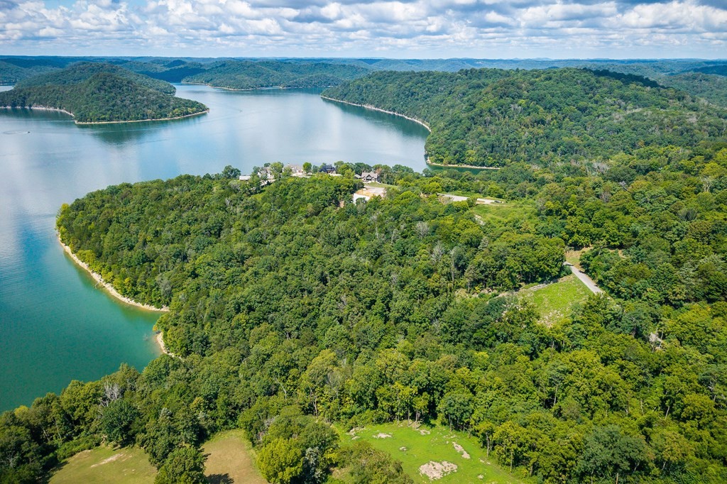 0 Harbor Pointe Drive Silver Point, TN 38582 - Photo 4 of 16 an aerial view of a house with a yard and lake view