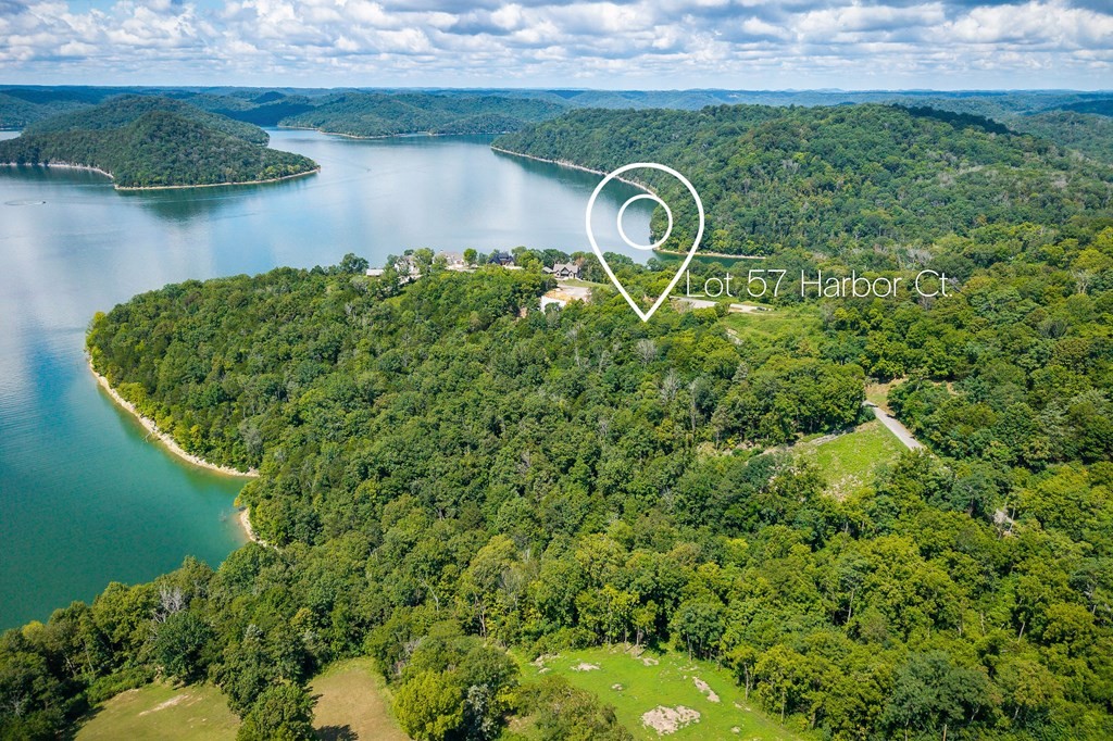 0 Harbor Pointe Drive Silver Point, TN 38582 - Photo 5 of 16 an aerial view of a house with a yard and lake view