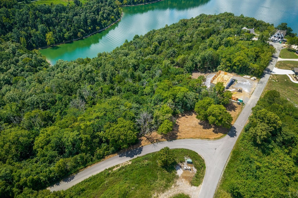 0 Harbor Pointe Drive Silver Point, TN 38582 - Photo 7 of 16 an aerial view of a house with a yard and lake view