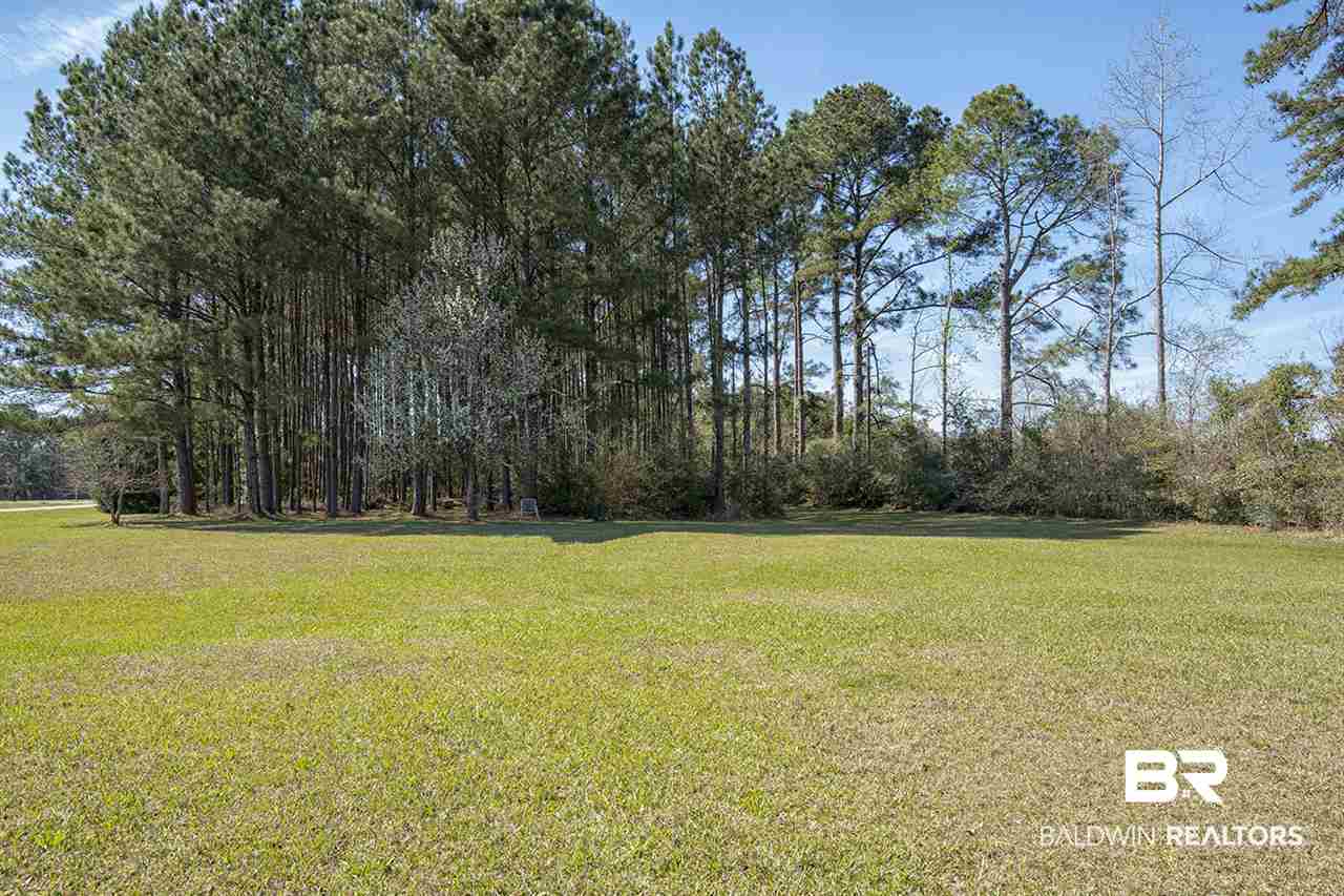 35123 Pine Road South Stapleton, AL 36578 - Photo 25 of 28