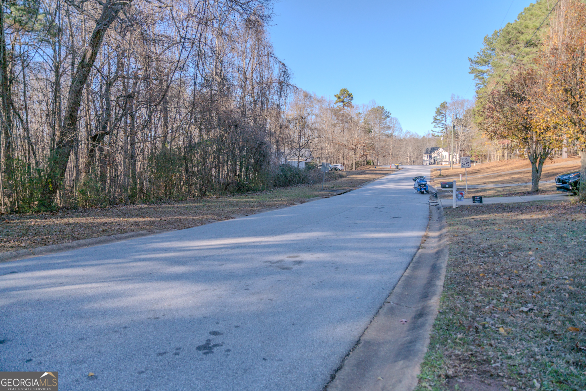 55 Corn Row Court Newnan, GA 30263 - Photo 3 of 72 a backyard of a house with lots of green space