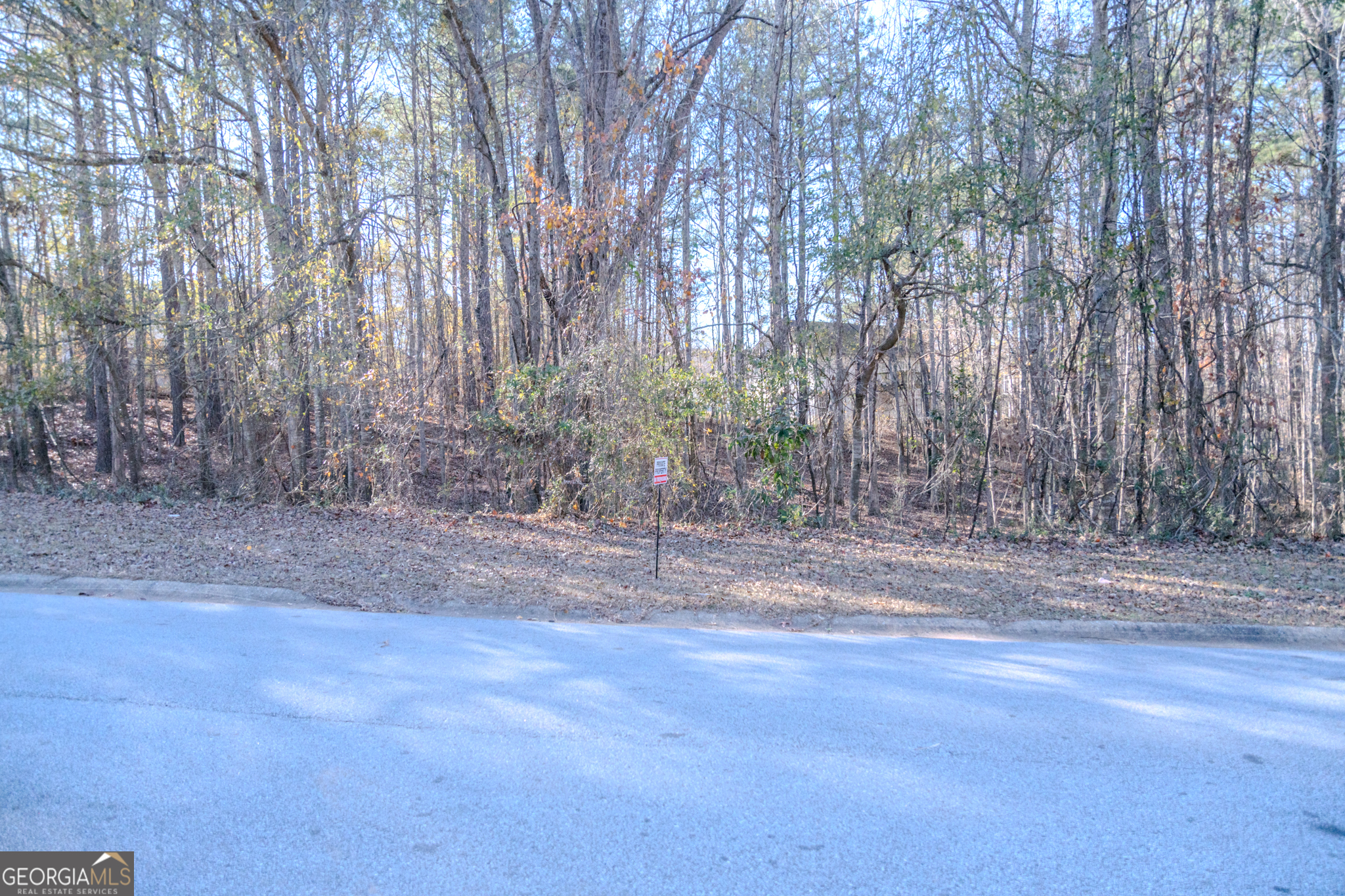 55 Corn Row Court Newnan, GA 30263 - Photo 7 of 72