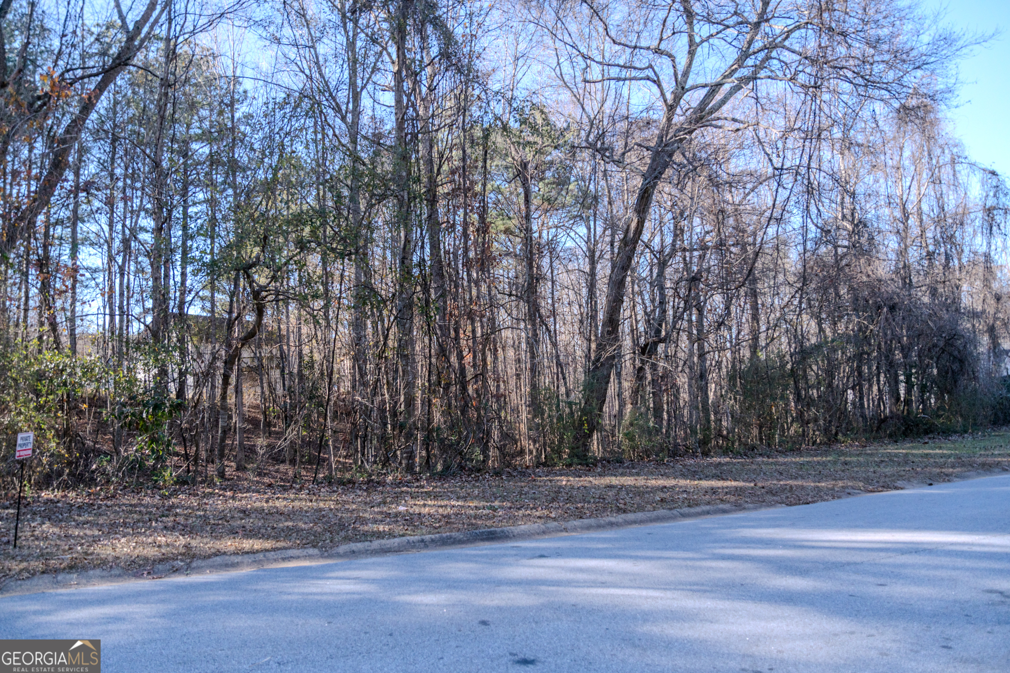 55 Corn Row Court Newnan, GA 30263 - Photo 8 of 72