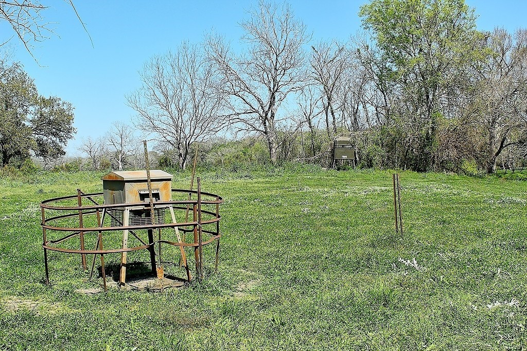Tbd Scott Road Weimar, TX 78962 - Photo 15 of 16 a garden view with a playing court